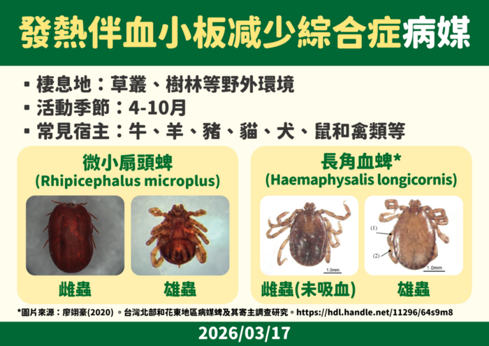 發熱伴血小板減少綜合症病媒